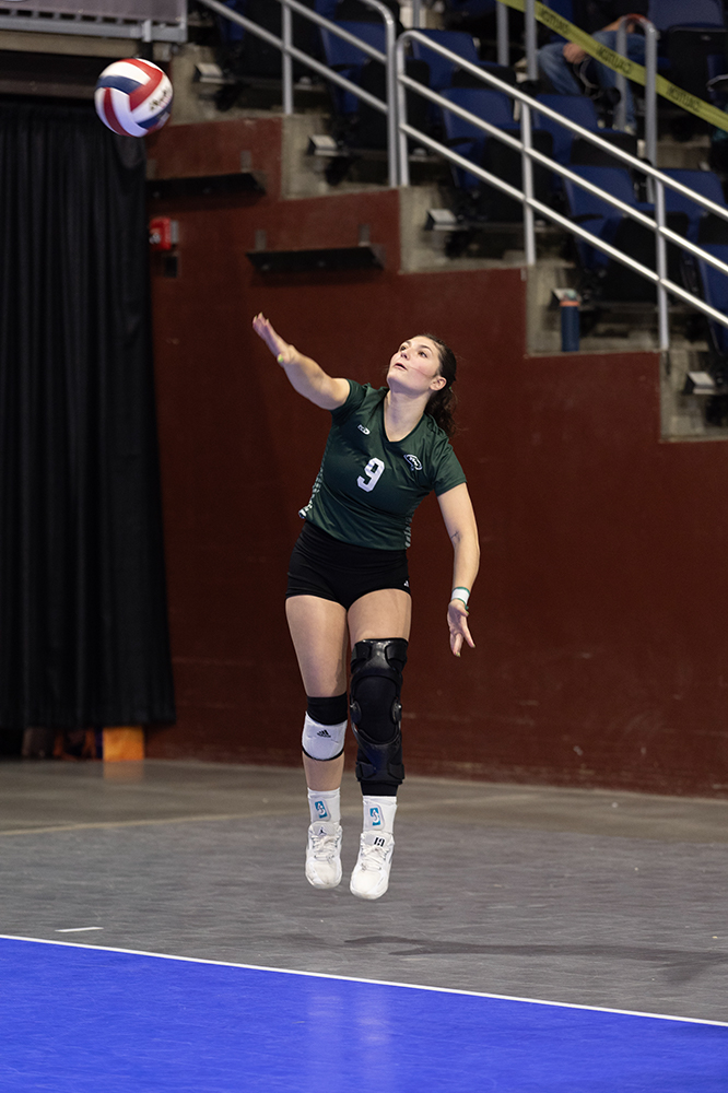 %_tempFileName1M6A7185%