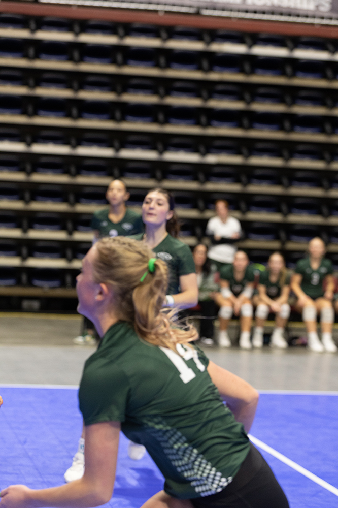 %_tempFileName1M6A7213%