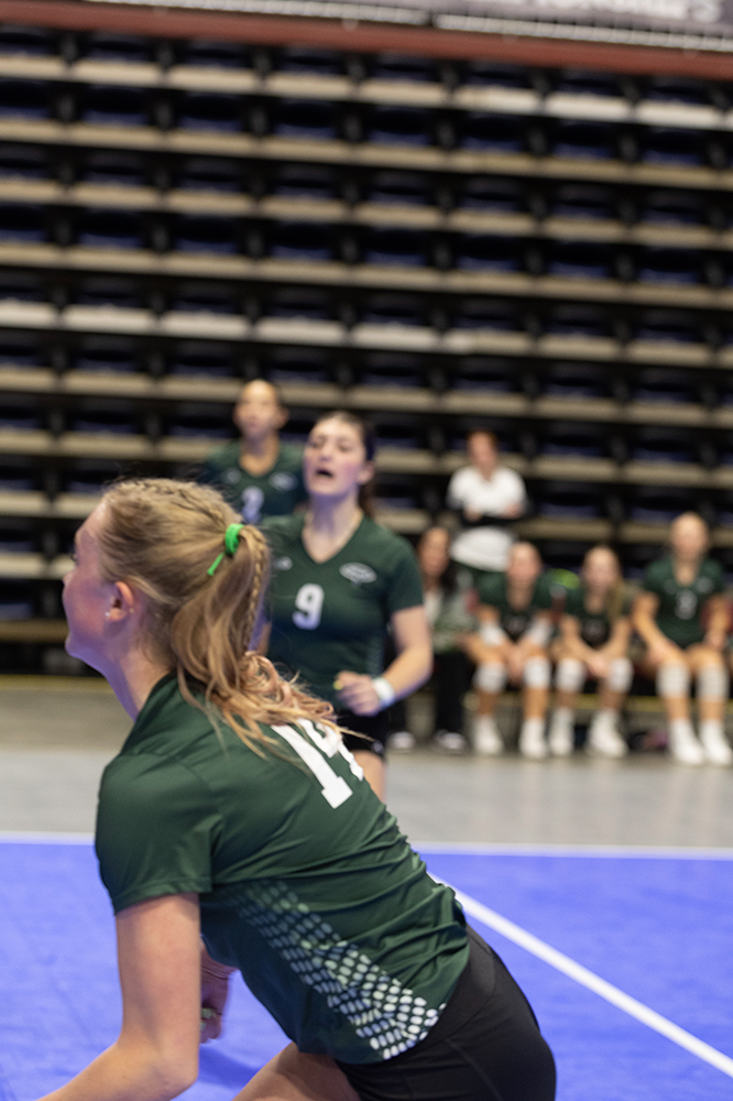 %_tempFileName1M6A7214%