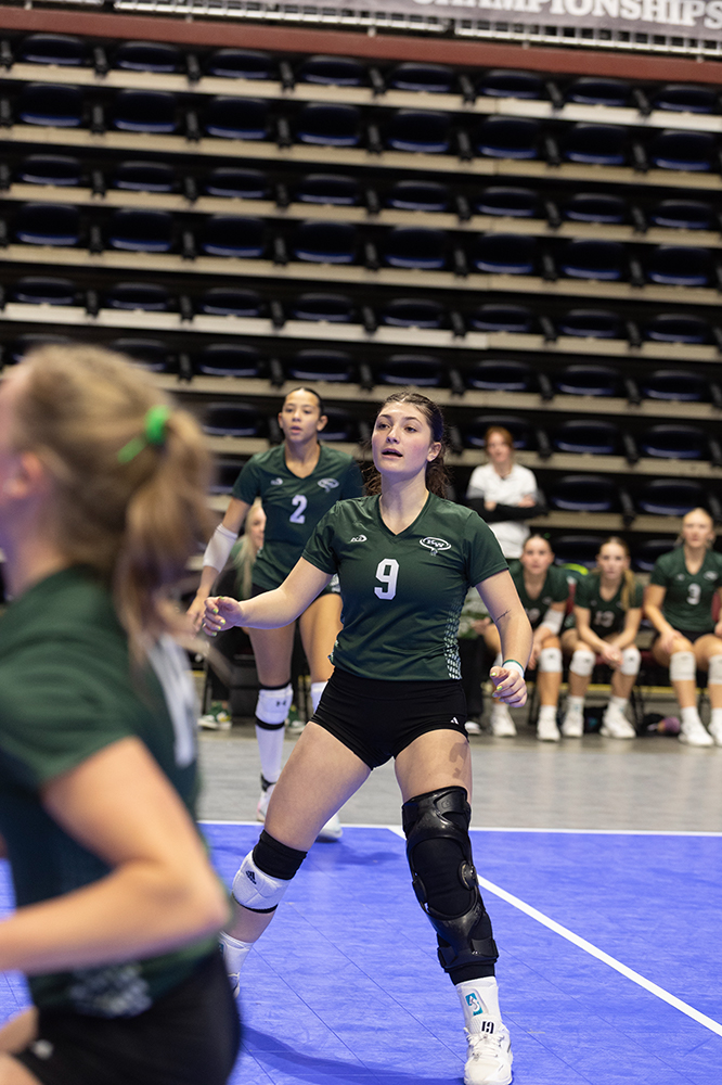 %_tempFileName1M6A7217%