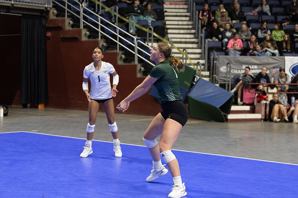 %_tempFileName1M6A7232%