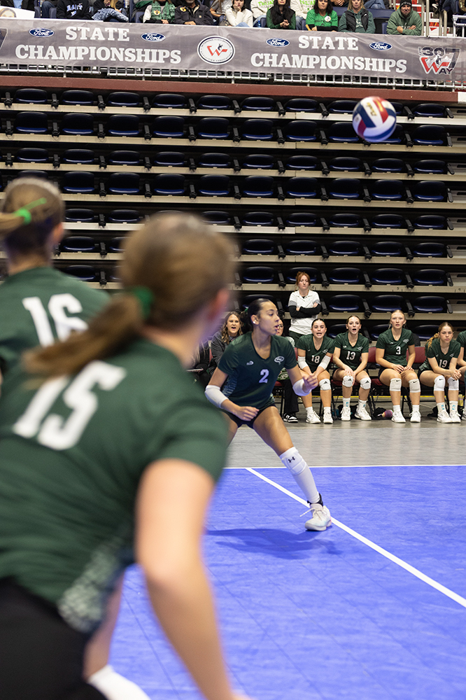 %_tempFileName1M6A7233%