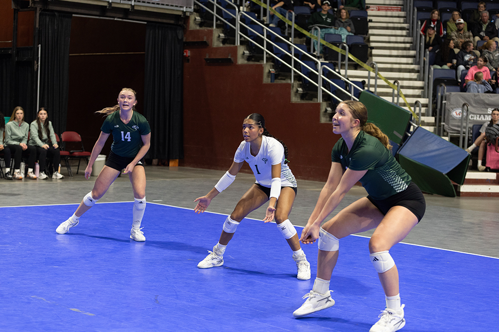 %_tempFileName1M6A7262%