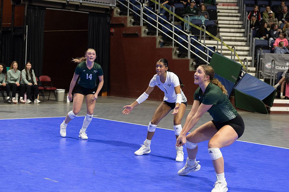 %_tempFileName1M6A7264%