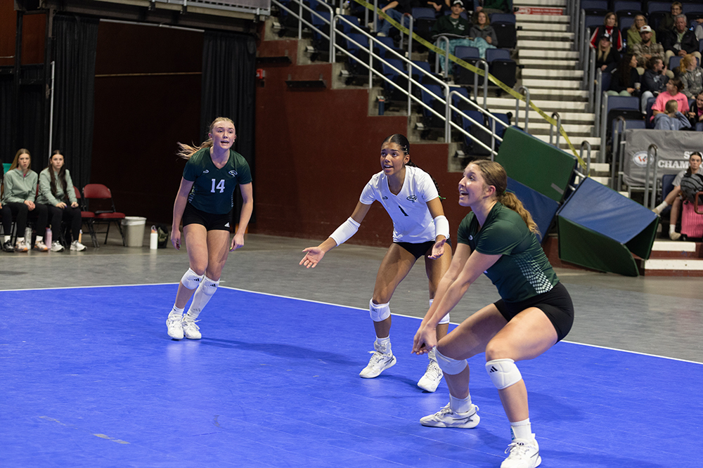 %_tempFileName1M6A7265%