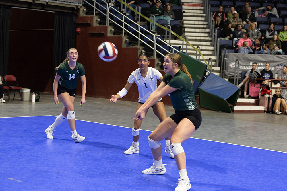 %_tempFileName1M6A7267%