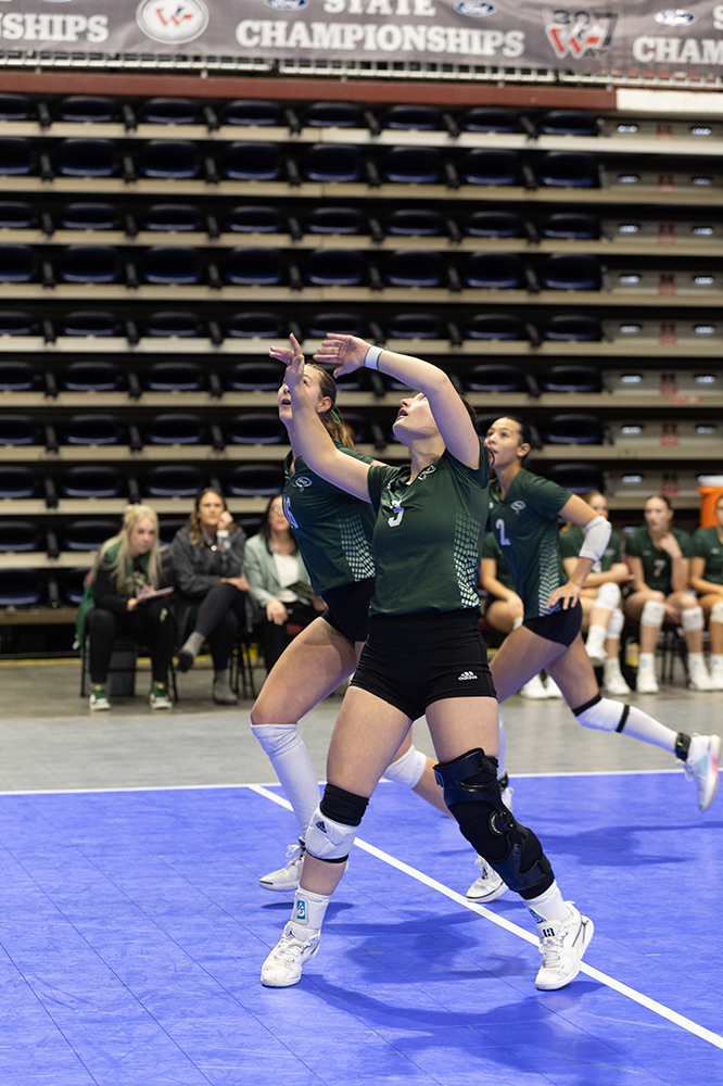 %_tempFileName1M6A7281%