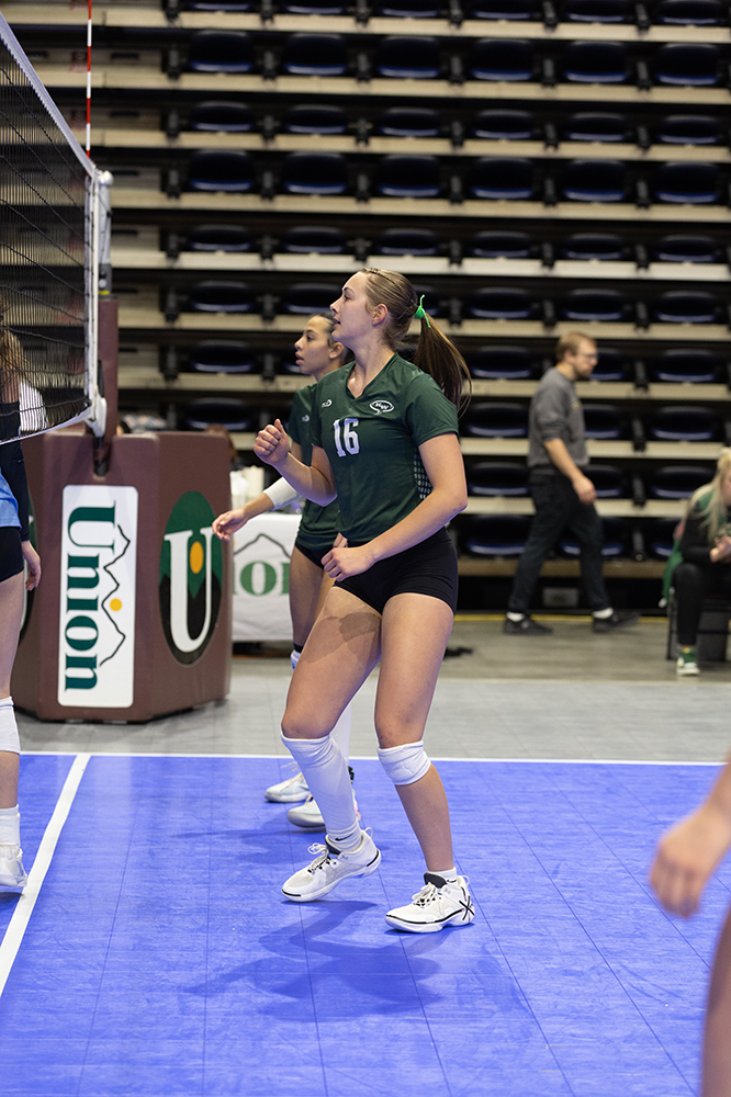 %_tempFileName1M6A7291%