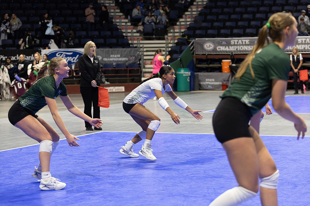 %_tempFileName1M6A7303%