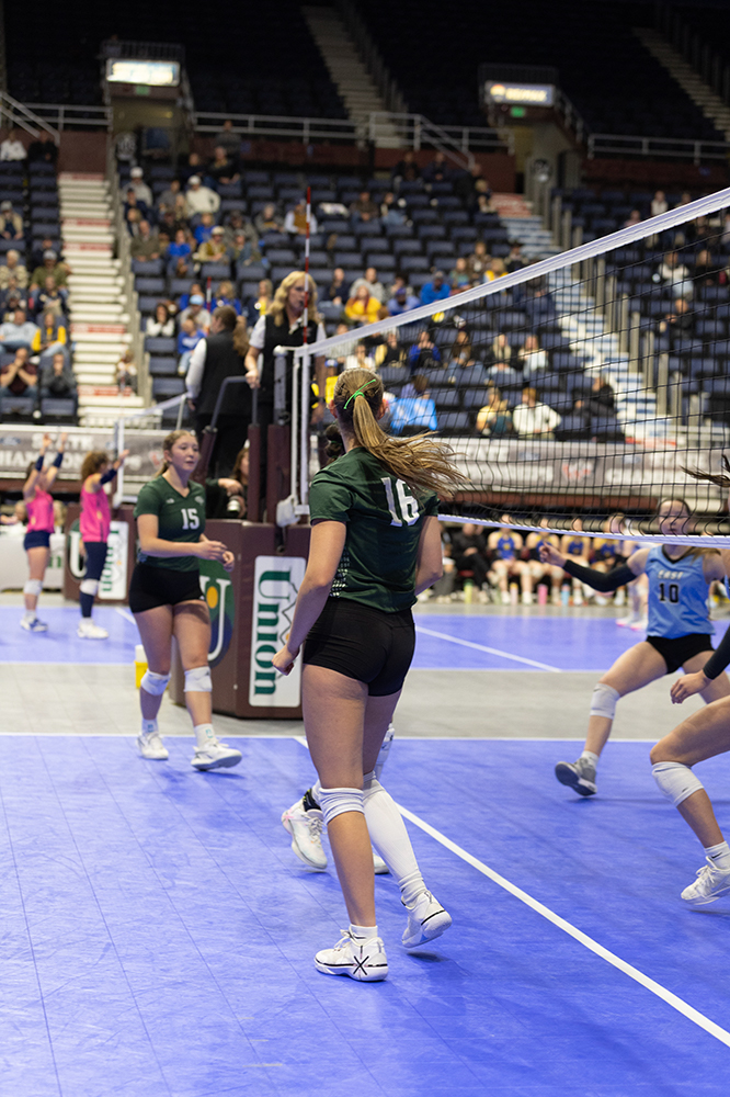 %_tempFileName1M6A7325%