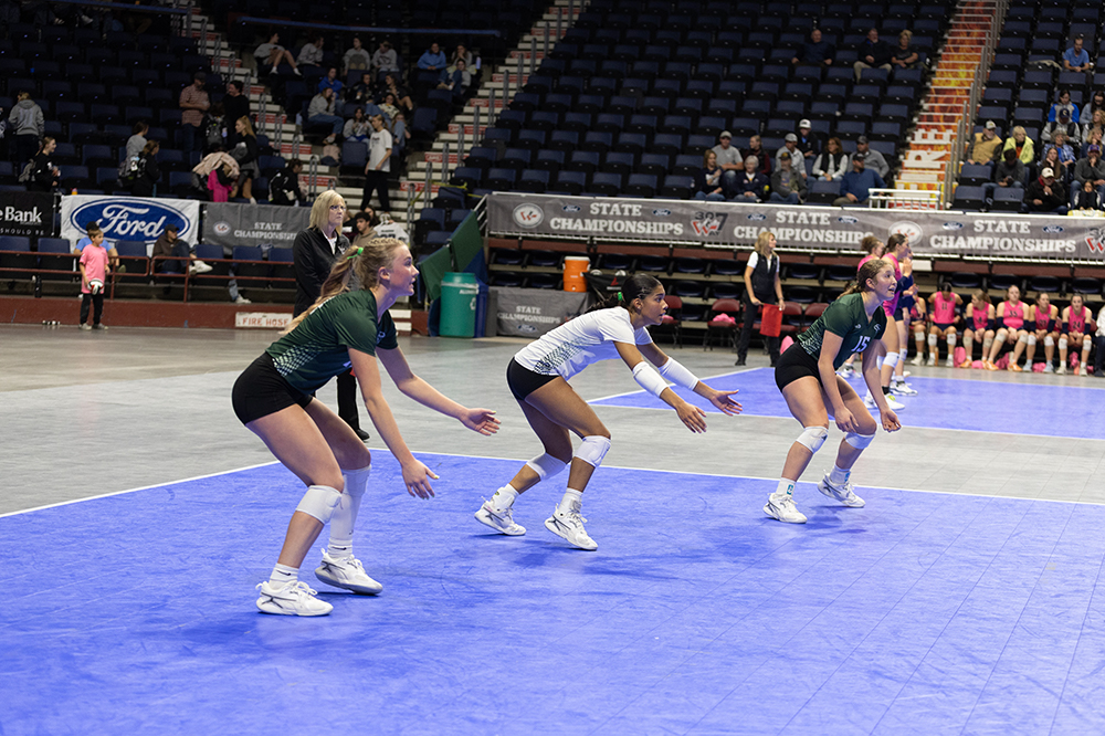 %_tempFileName1M6A7333%