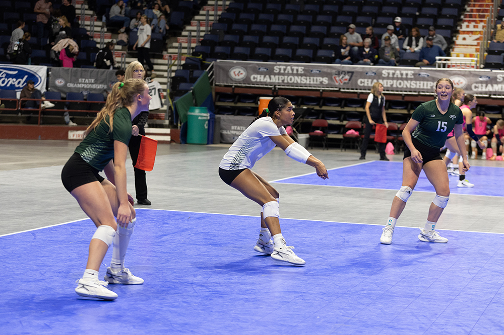 %_tempFileName1M6A7336%