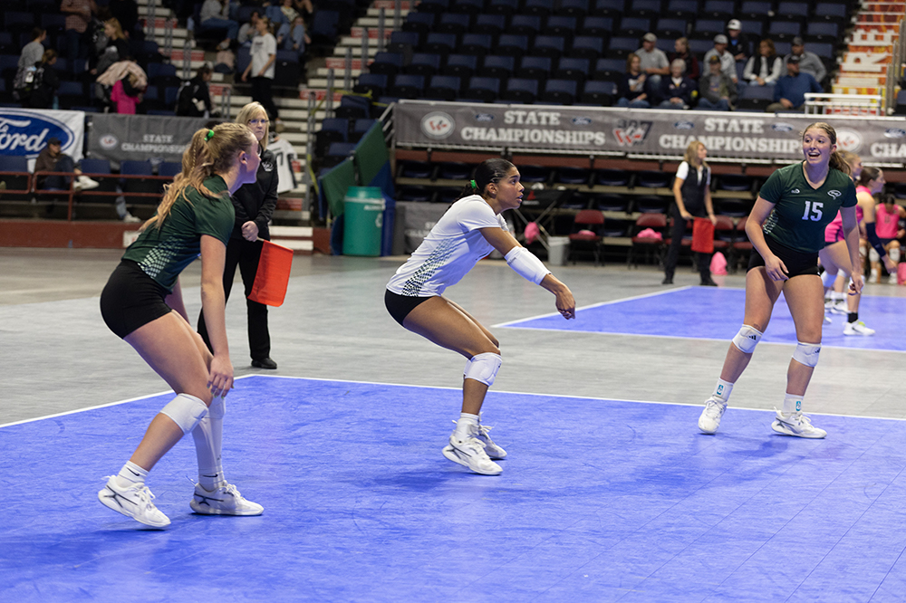 %_tempFileName1M6A7337%