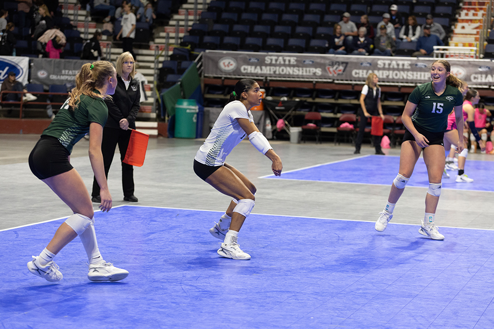 %_tempFileName1M6A7338%