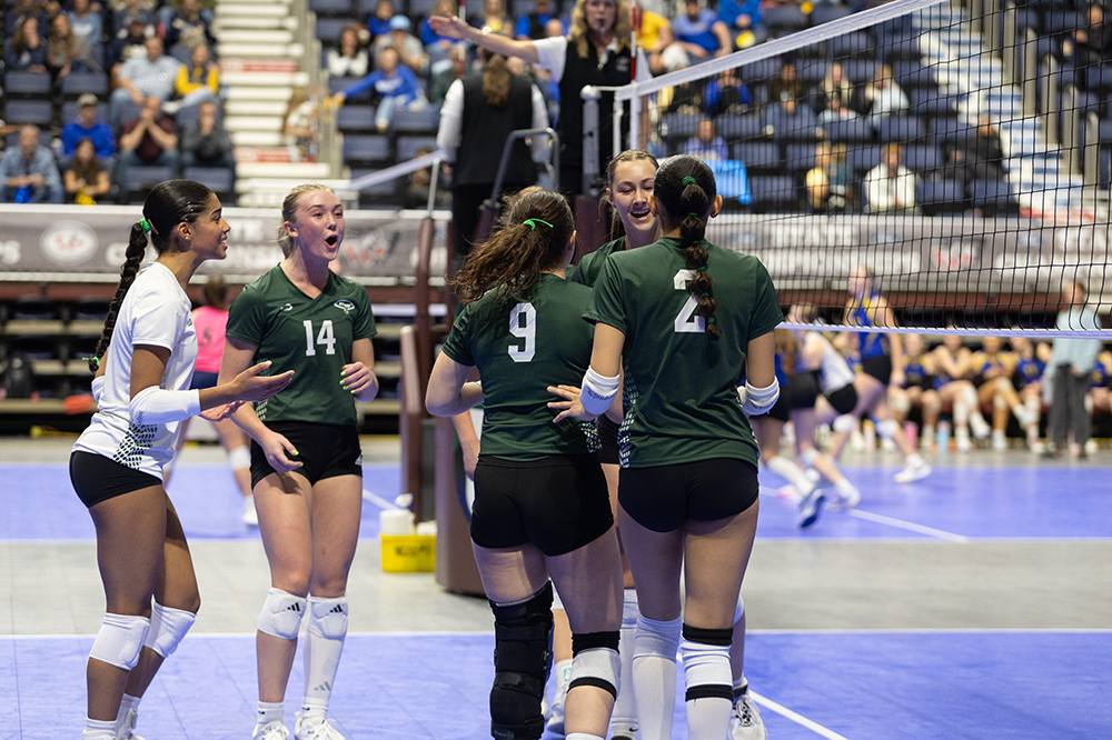 %_tempFileName1M6A7373%