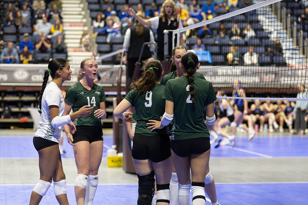 %_tempFileName1M6A7375%