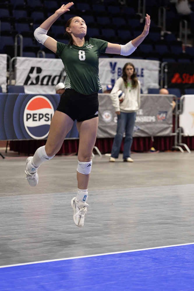 %_tempFileName1M6A7393%