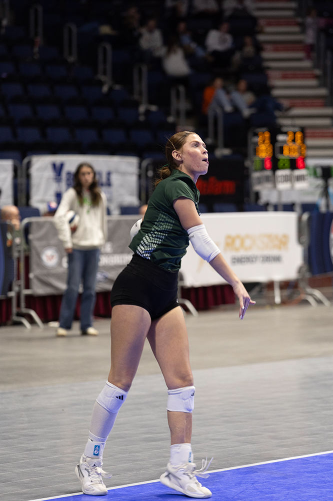 %_tempFileName1M6A7399%