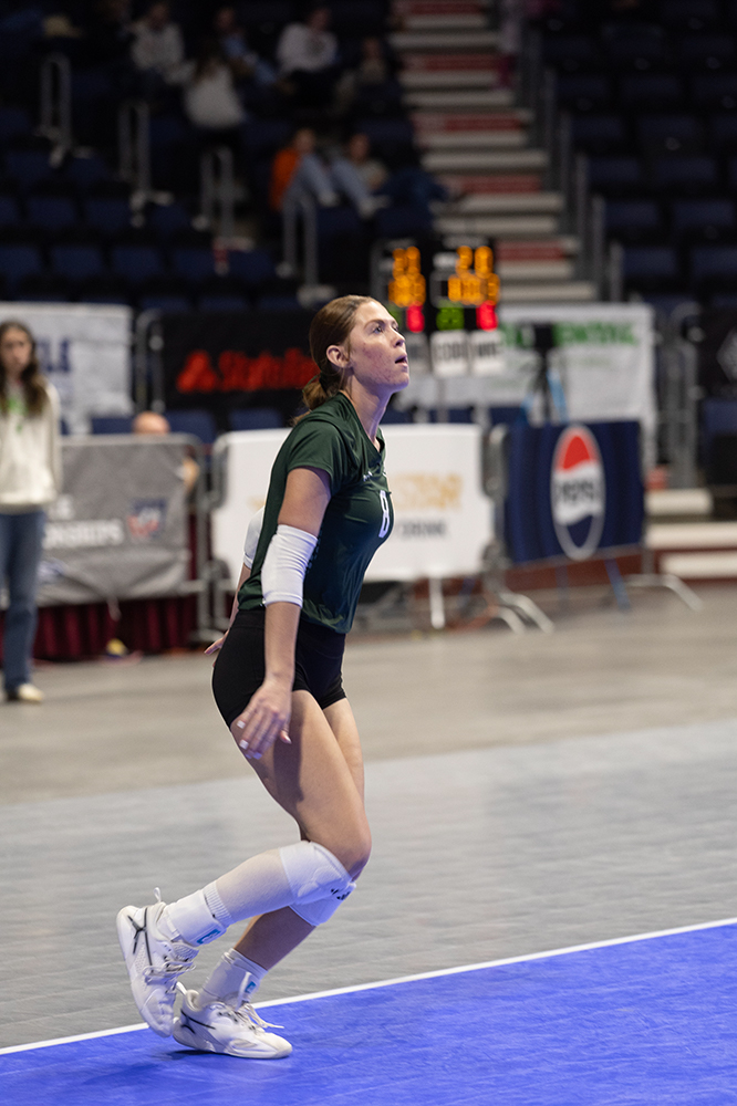 %_tempFileName1M6A7401%