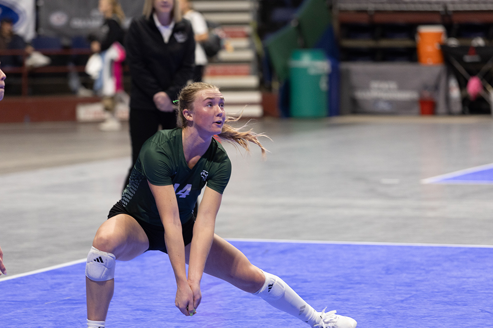 %_tempFileName1M6A7405%