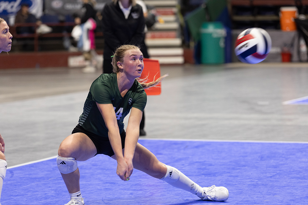 %_tempFileName1M6A7406%