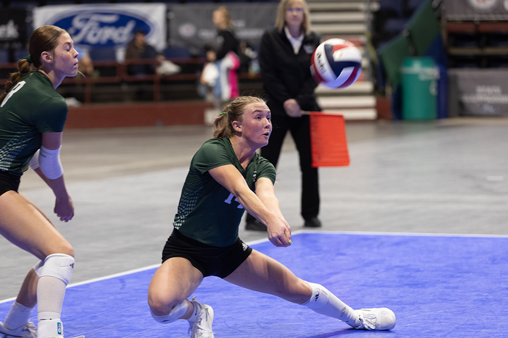 %_tempFileName1M6A7408%