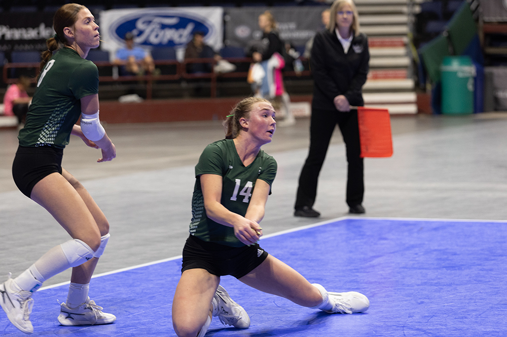 %_tempFileName1M6A7410%