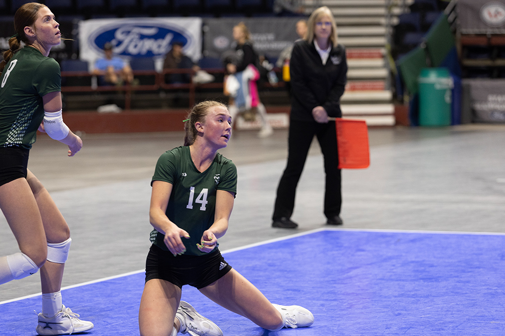 %_tempFileName1M6A7411%