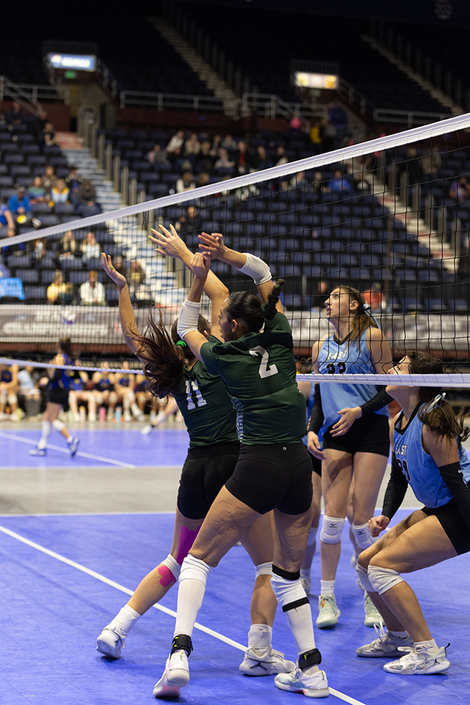 %_tempFileName1M6A7434%