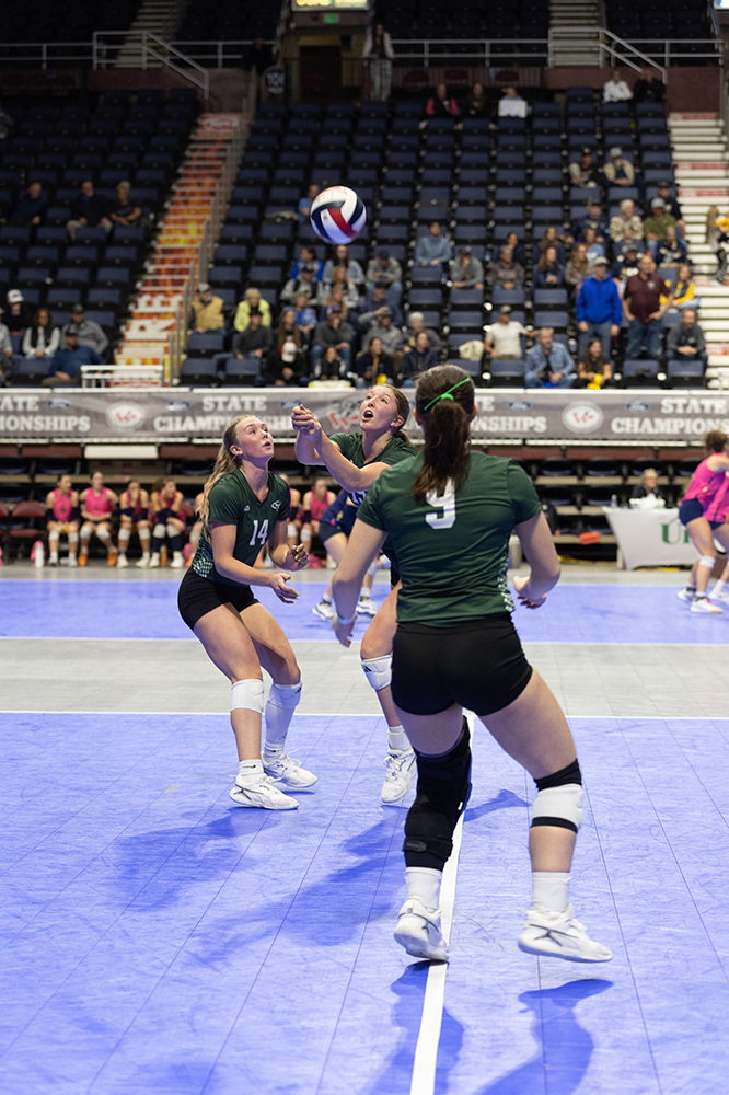 %_tempFileName1M6A7437%