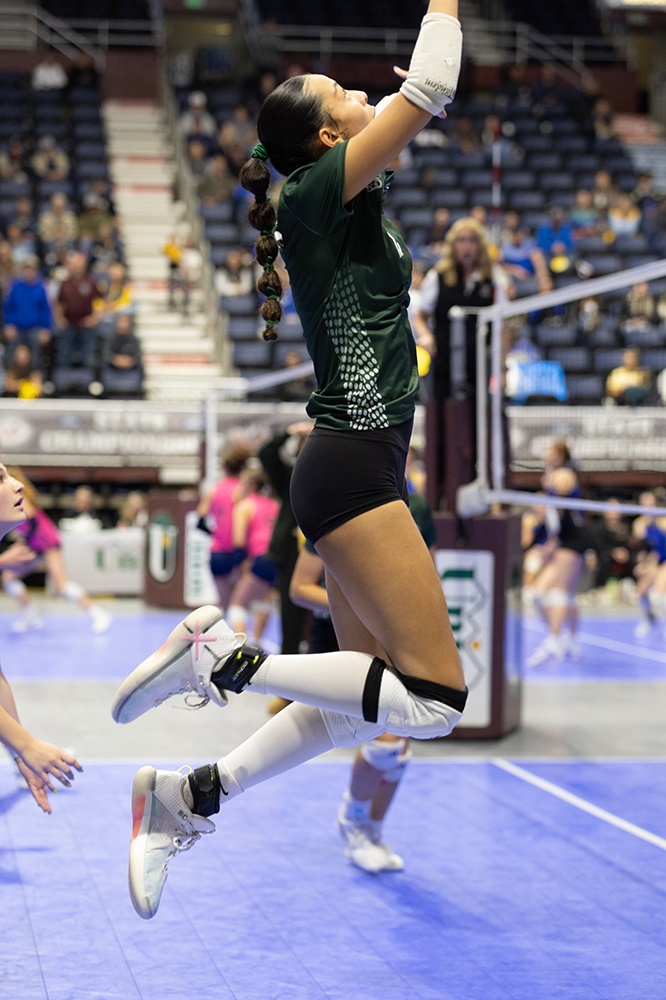 %_tempFileName1M6A7443%