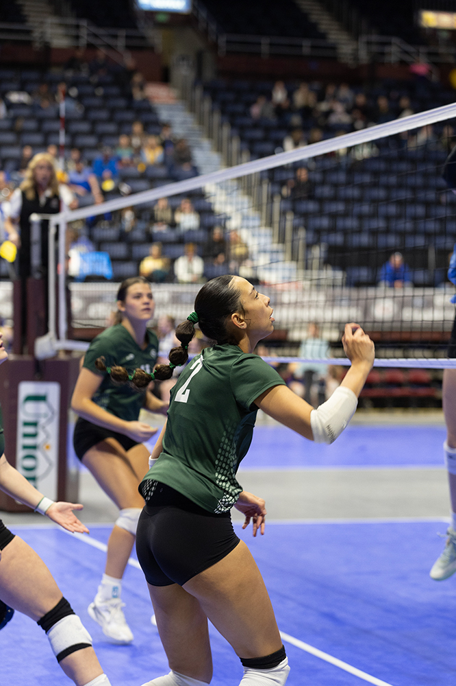 %_tempFileName1M6A7451%