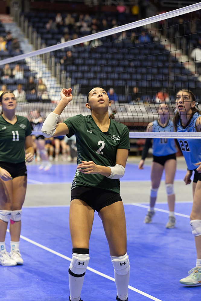 %_tempFileName1M6A7454%