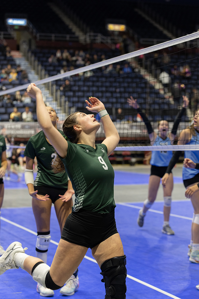 %_tempFileName1M6A7462%