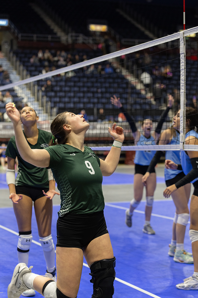 %_tempFileName1M6A7463%