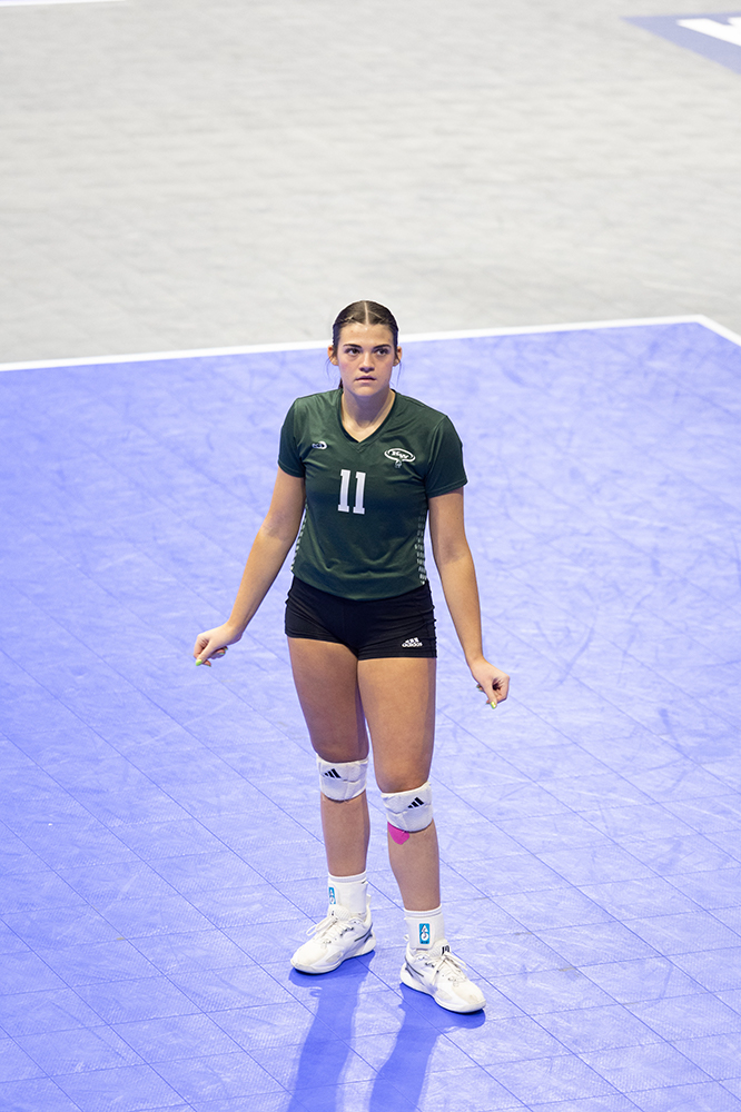 %_tempFileName1M6A7581%