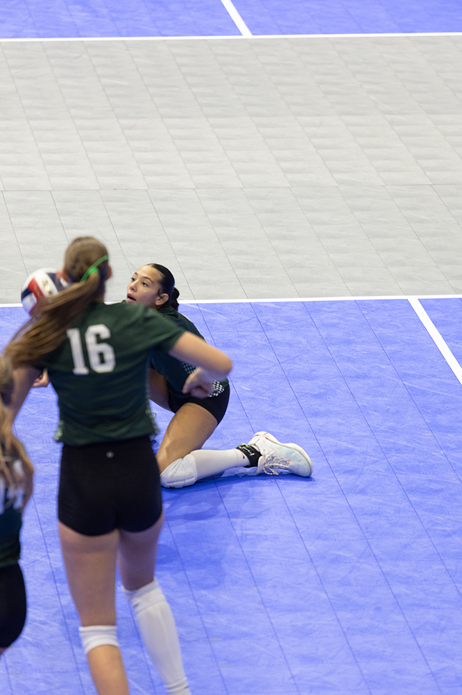 %_tempFileName1M6A7645%