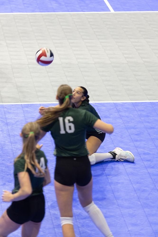 %_tempFileName1M6A7646%