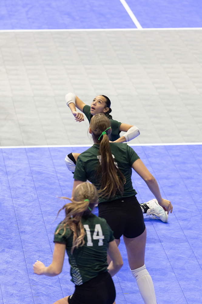 %_tempFileName1M6A7649%