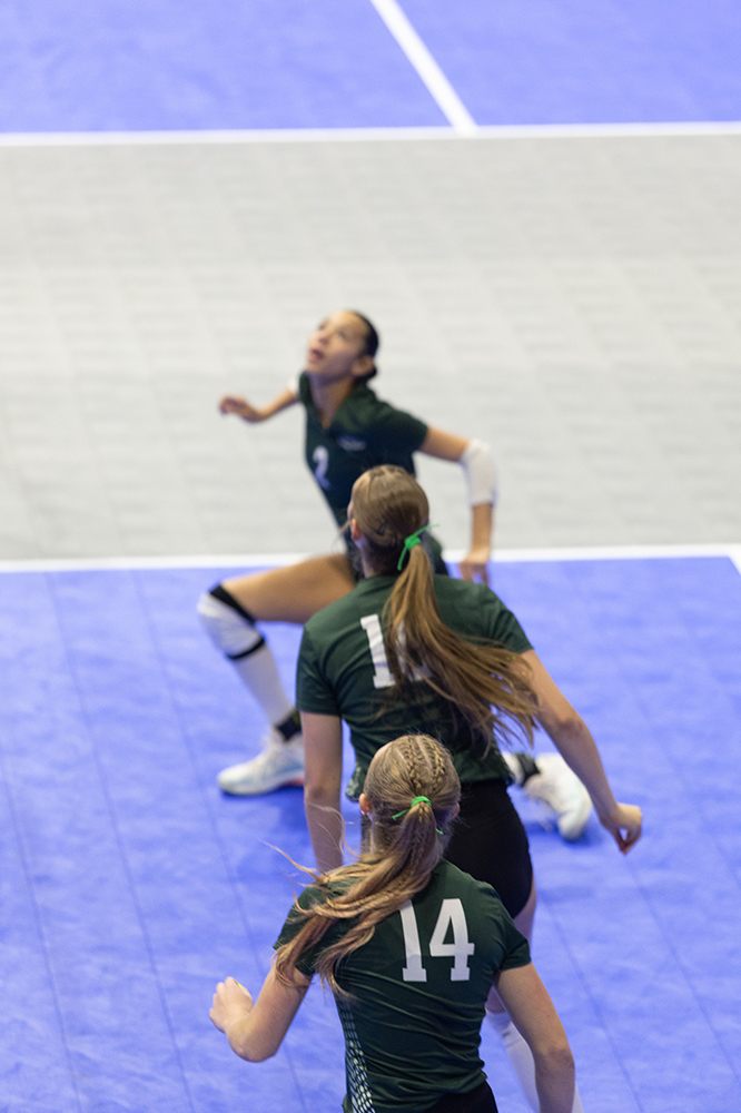 %_tempFileName1M6A7651%