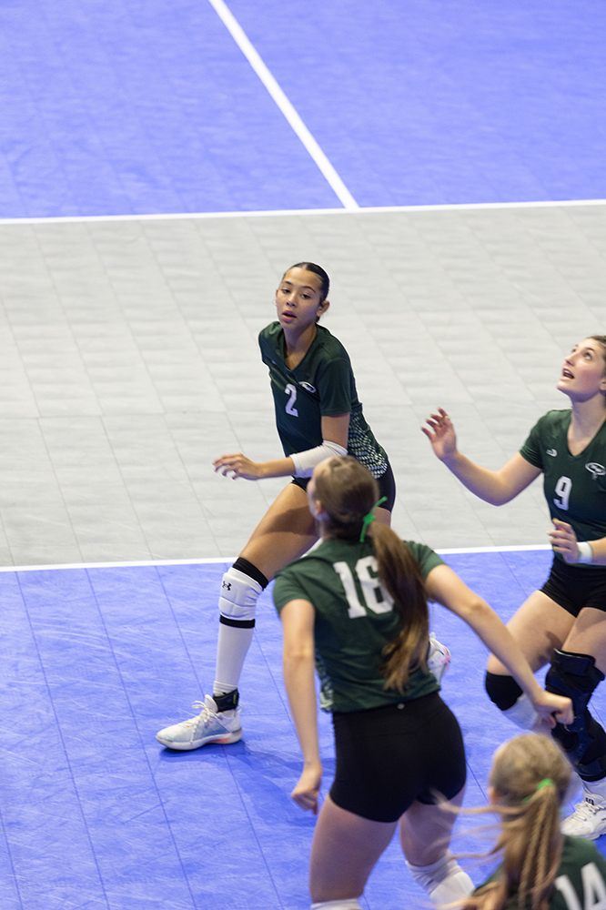 %_tempFileName1M6A7655%