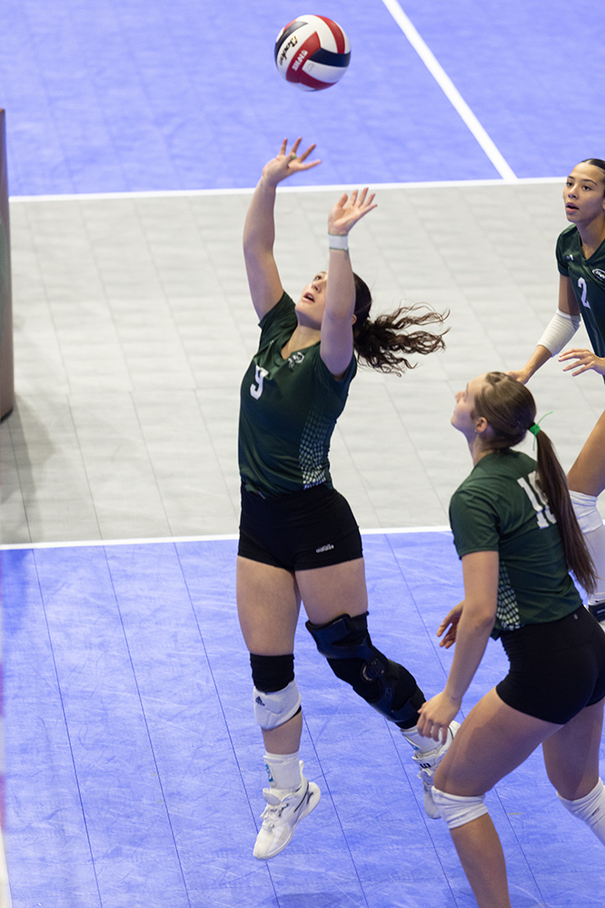 %_tempFileName1M6A7663%