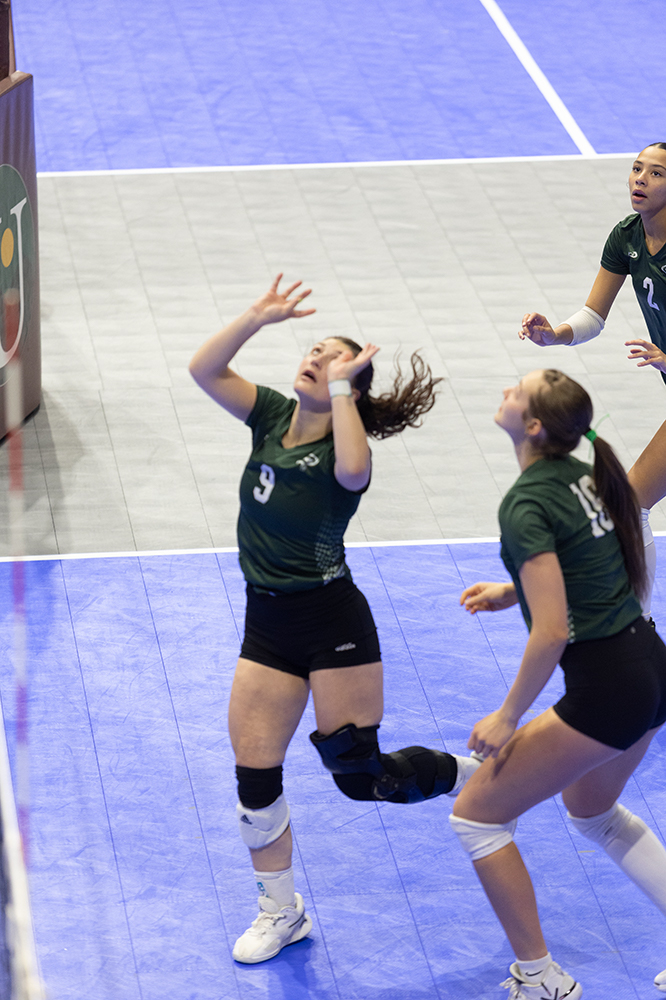 %_tempFileName1M6A7665%