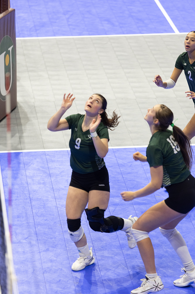 %_tempFileName1M6A7666%