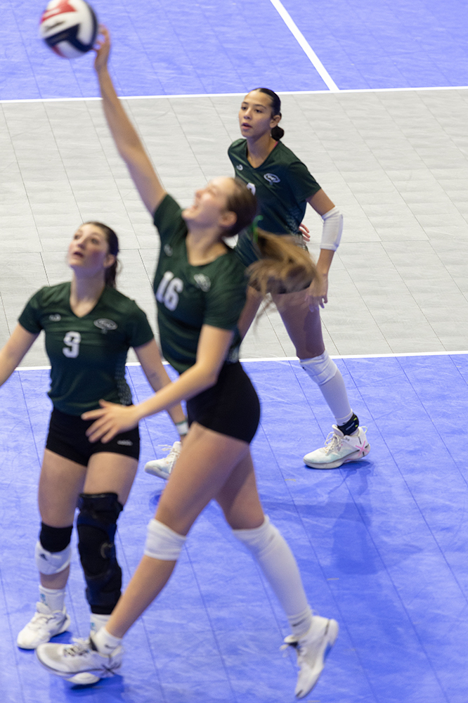 %_tempFileName1M6A7669%