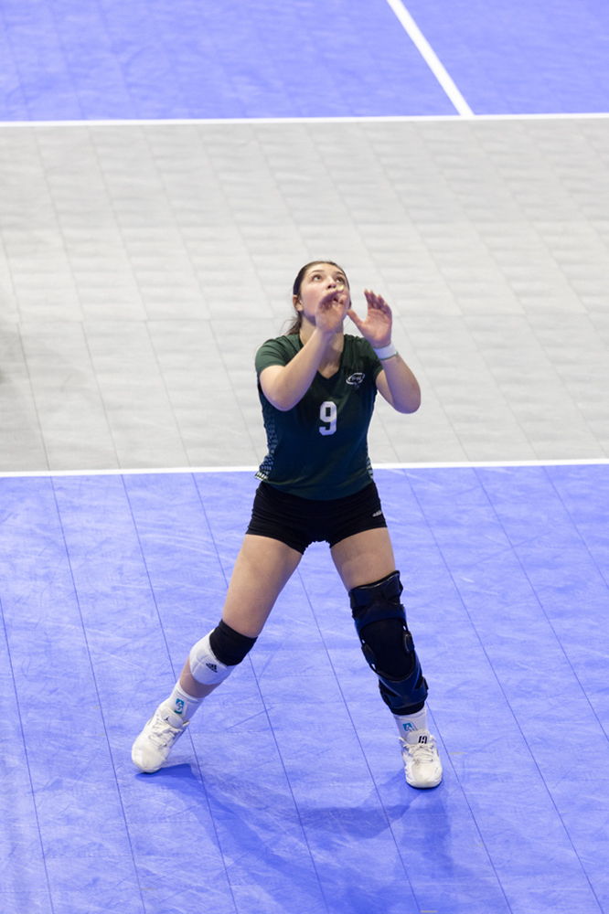 %_tempFileName1M6A7688%