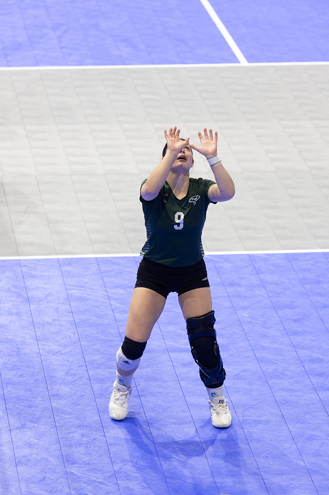 %_tempFileName1M6A7689%