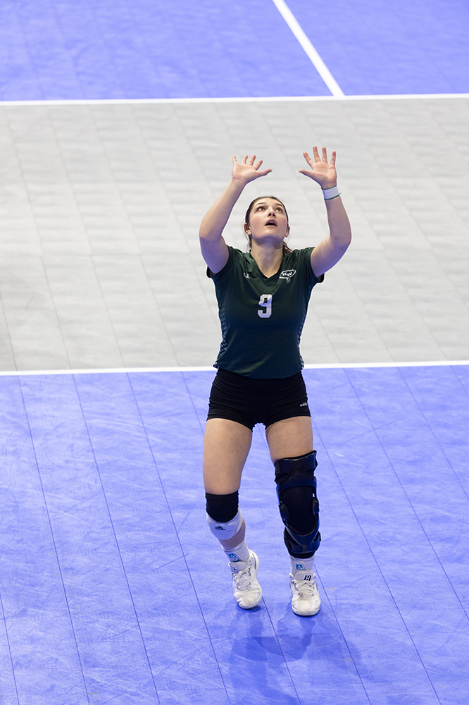 %_tempFileName1M6A7691%