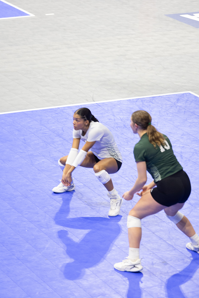 %_tempFileName1M6A7733%