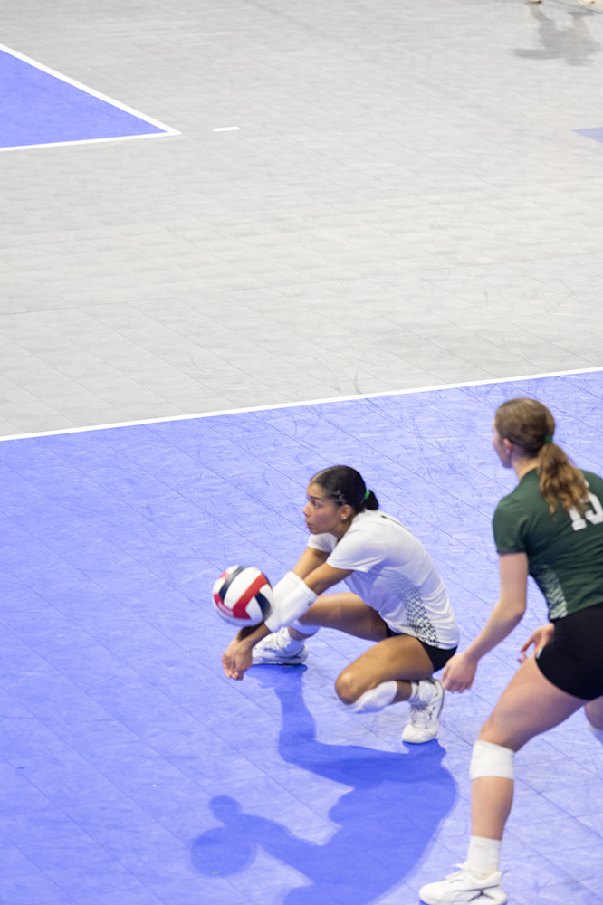 %_tempFileName1M6A7736%